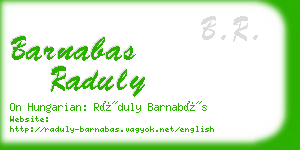 barnabas raduly business card